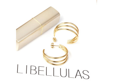 Elegant Gold Hoop Earrings in Stylish Container - Libellulas