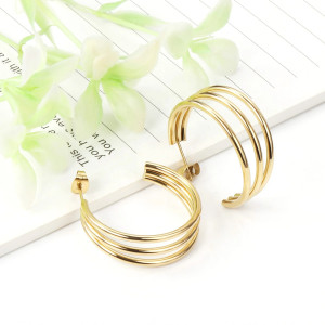 Elegant Gold Hoop Earrings in Stylish Container - Libellulas